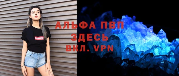 PSILOCYBIN Новозыбков