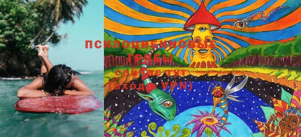 PSILOCYBIN Новозыбков