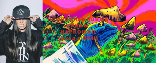 PSILOCYBIN Новозыбков