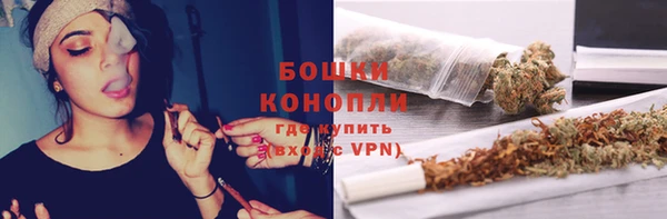 PSILOCYBIN Новозыбков