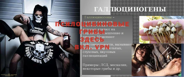 ECSTASY Новокубанск