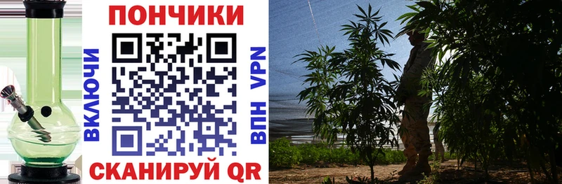 закладки Тетюши Марихуана White Widow